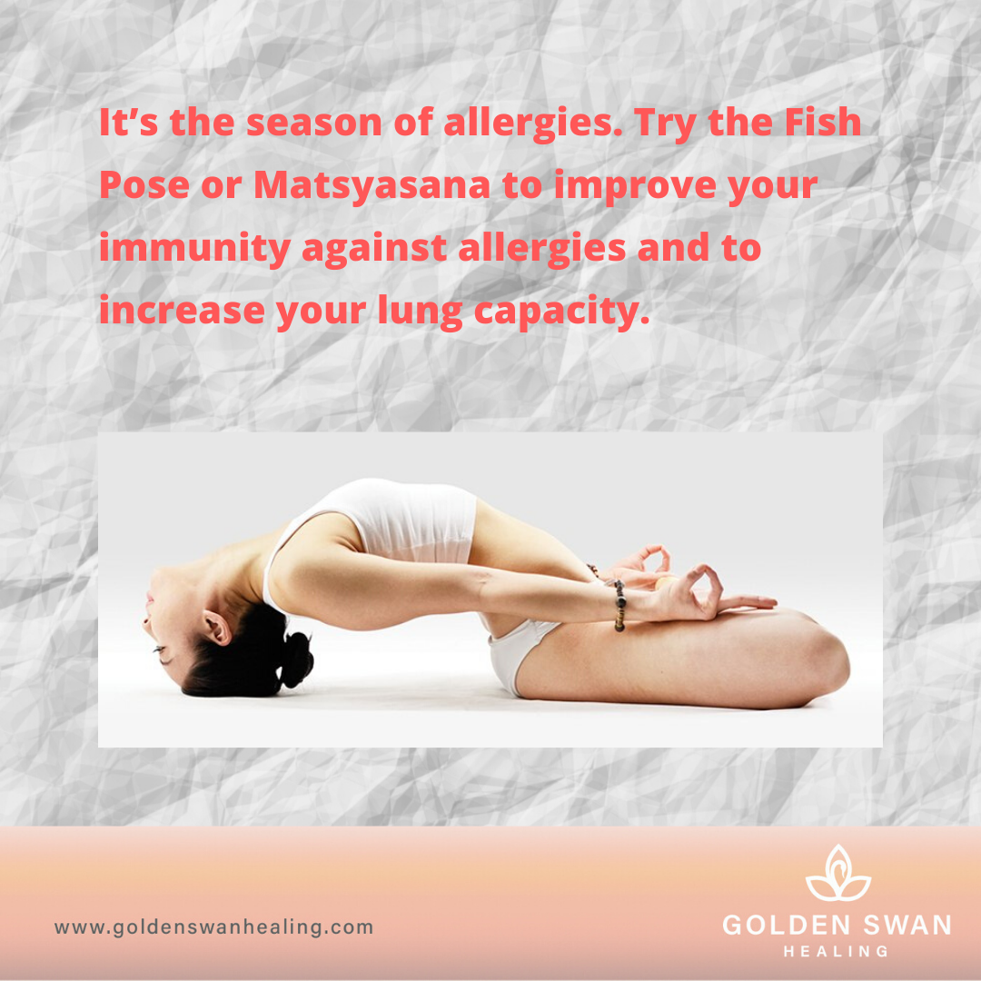 Matsyasana to boost immunity