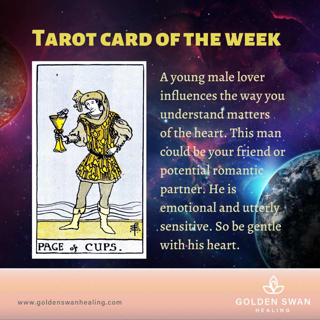 Card of the Week