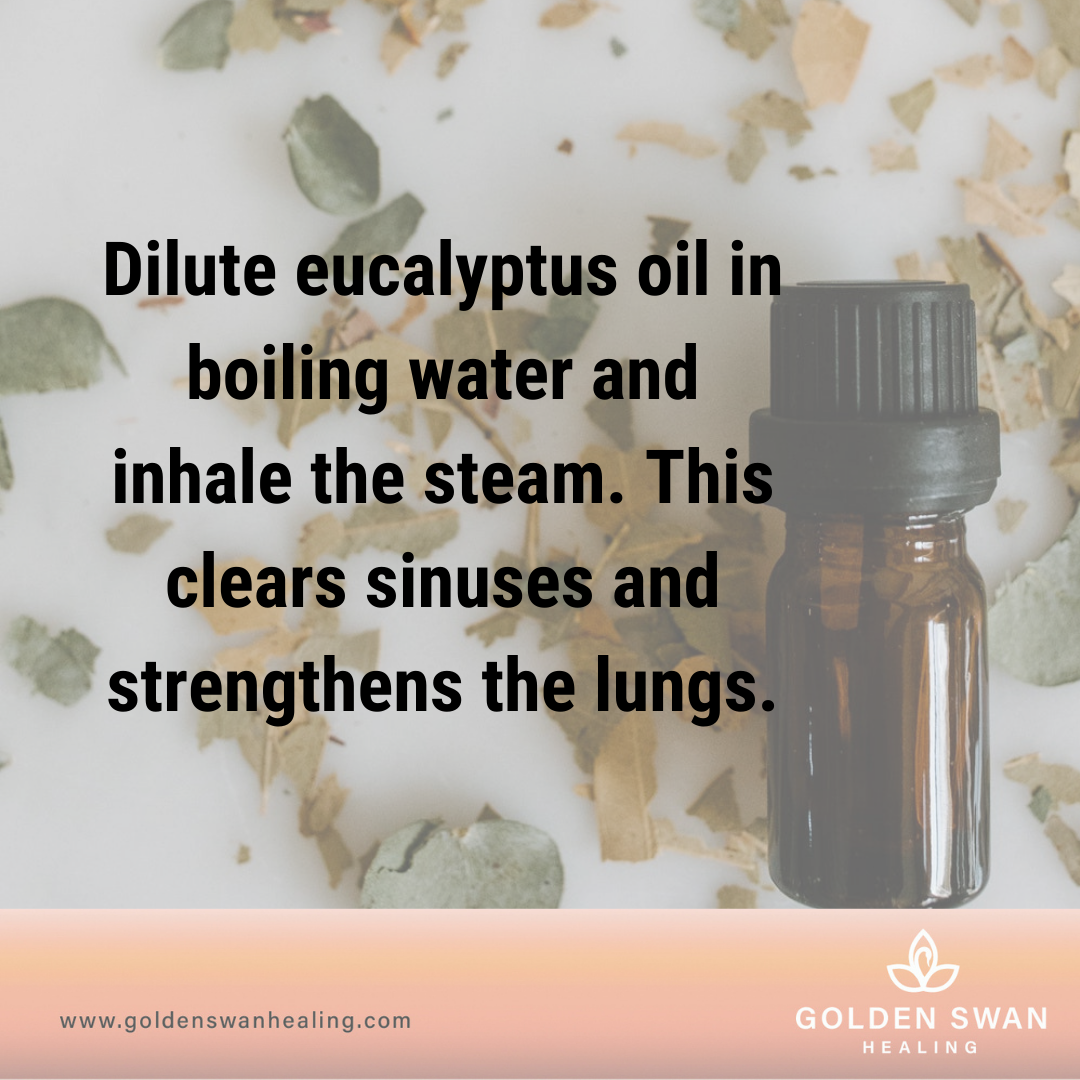 Eucalyptus Oil Benefits